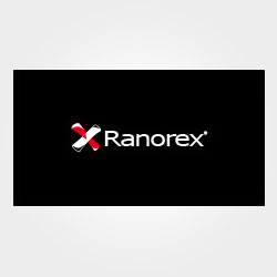 More about ranorex